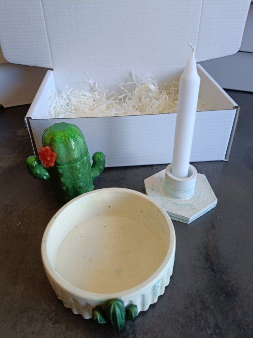 coffret cadeau Cactus- création unique