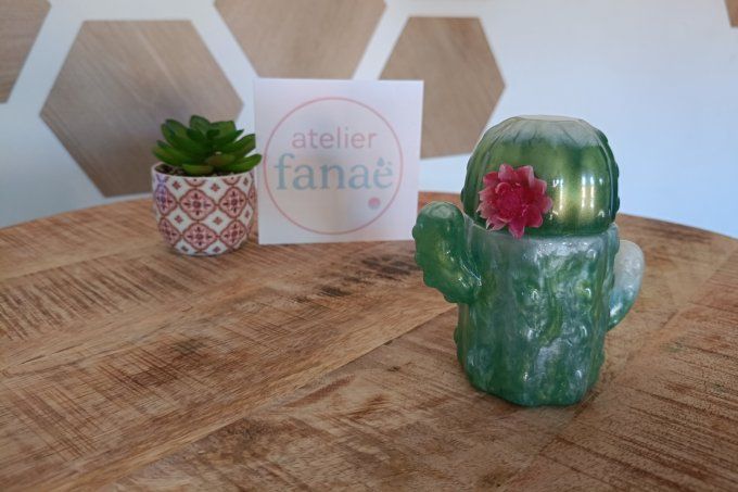 Boîte cactus