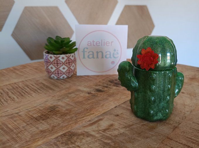 Boîte cactus