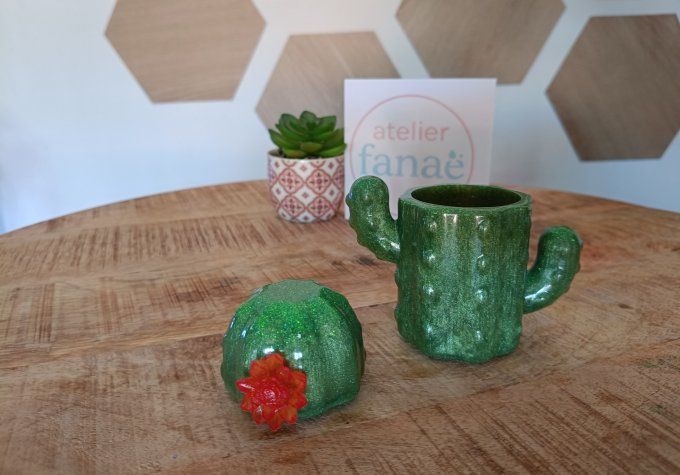 Boîte cactus