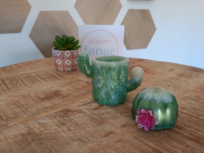 Boîte cactus 