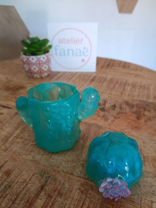 boîte cactus 