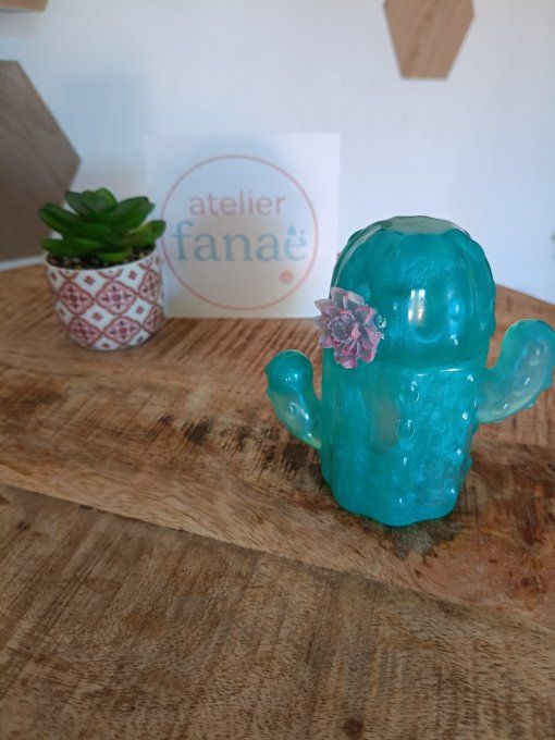 boîte cactus 